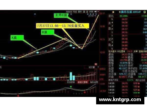体育明星危机：揭示背后真相与行业应对策略