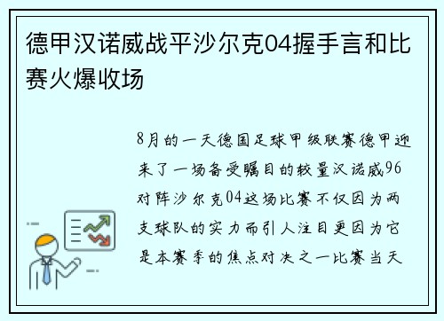 德甲汉诺威战平沙尔克04握手言和比赛火爆收场